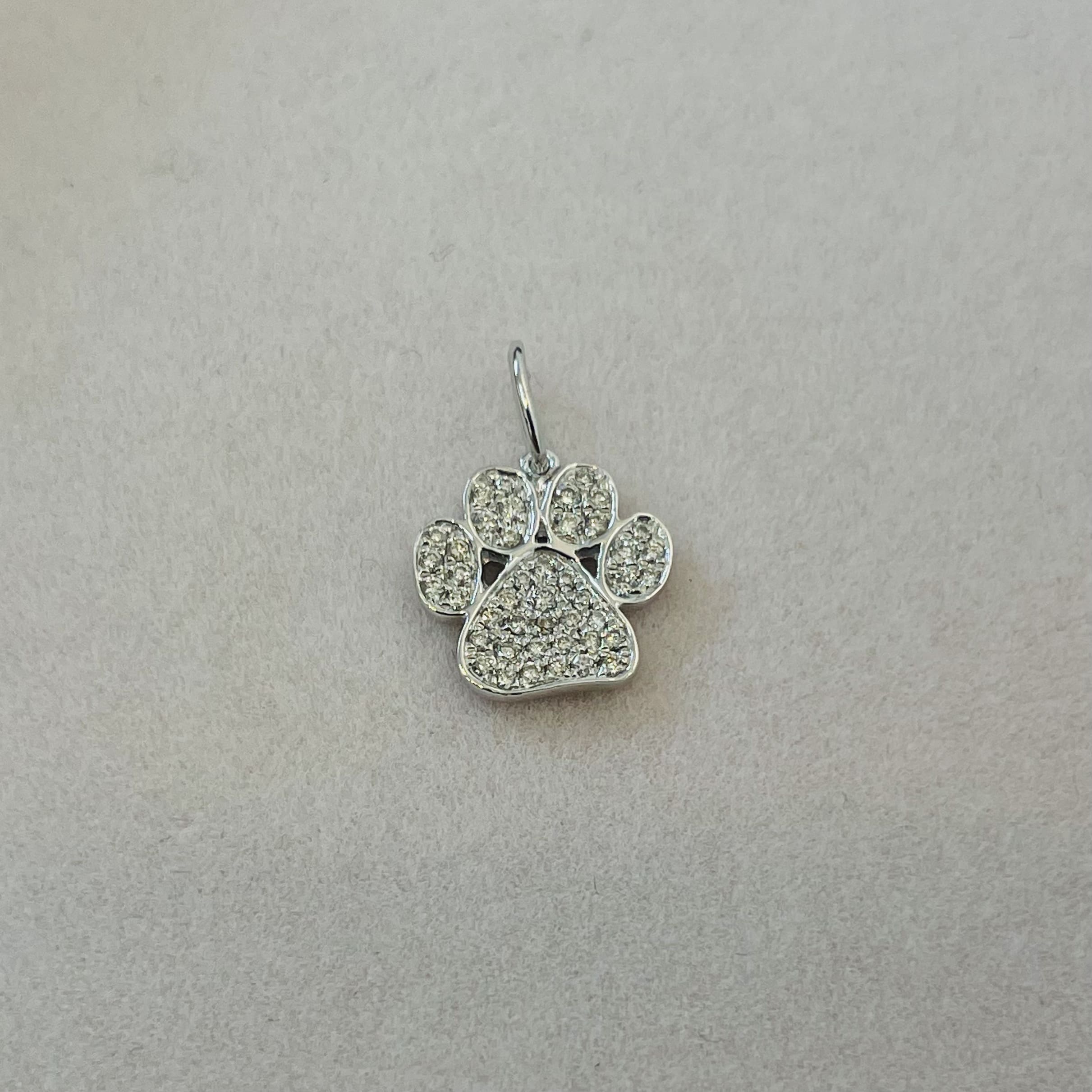 תליון ״כף אריה״ משובץ יהלומים טבעיים 0.13 קראט צבע F ניקיון VS-SI זהב 14K לבן מק"ט 785